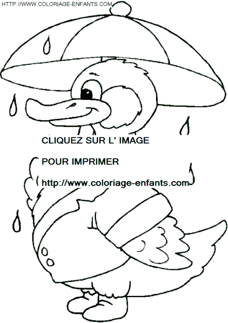 coloriage canards