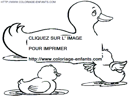 coloriage canards