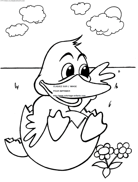 coloriage canards