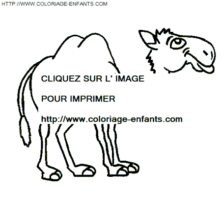 coloriage chameaux