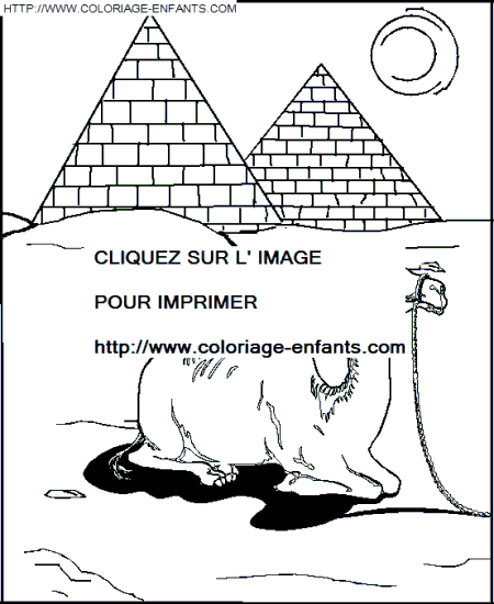 coloriage chameaux