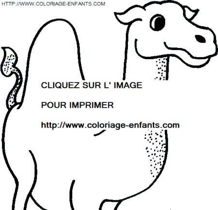 coloriage chameaux