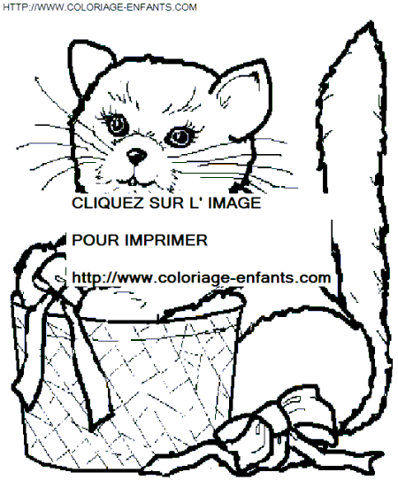 coloriage chats