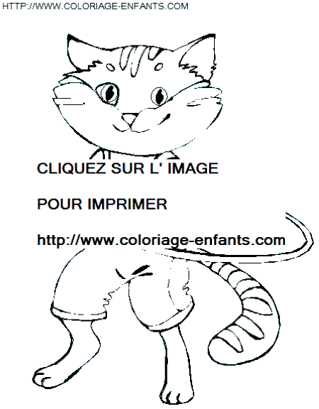 coloriage chats