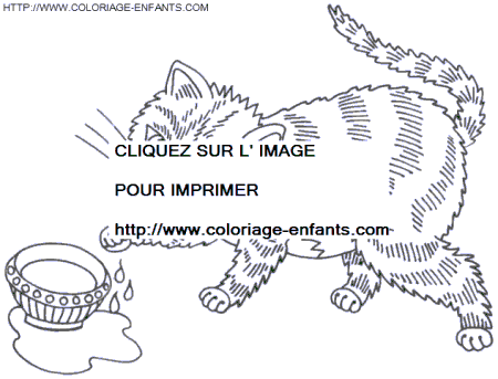 coloriage chats