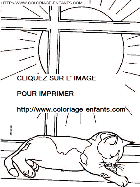 coloriage chats