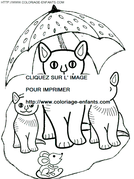 coloriage chats