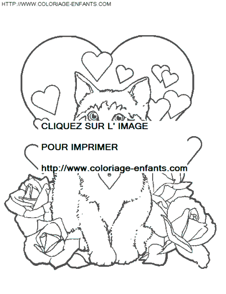 coloriage chats