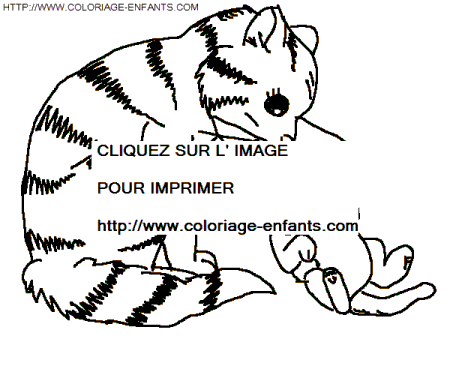 coloriage chats