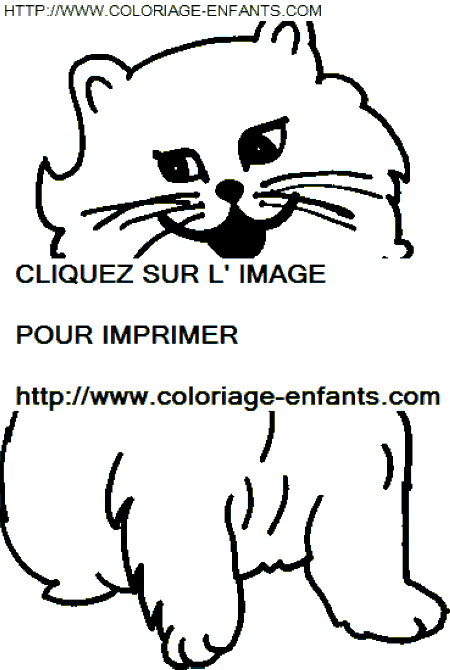 coloriage chats