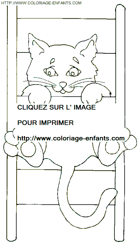 coloriage chats