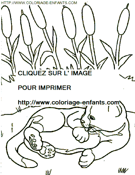 coloriage chats