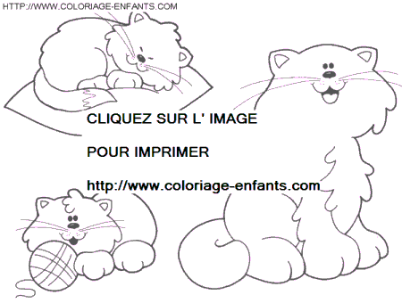 coloriage chats