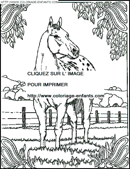 coloriage cheval dans la prairie