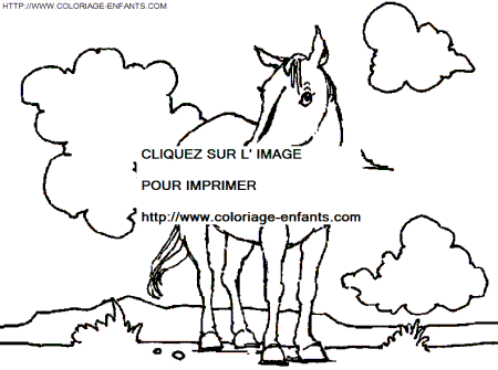 coloriage cheval dans les pres