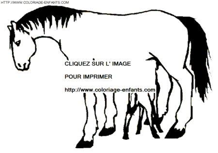 coloriage cheval en famille