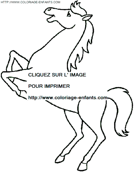 coloriage cheval fait le beau