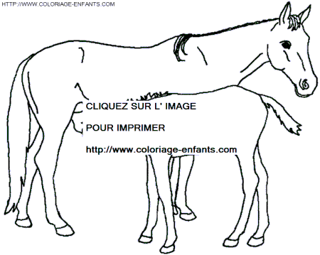 coloriage cheval la jument allaite son petit