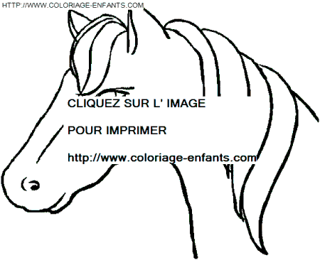 coloriage cheval portrait