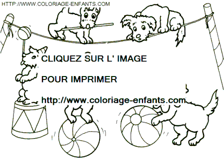 coloriage cirque chiens savants