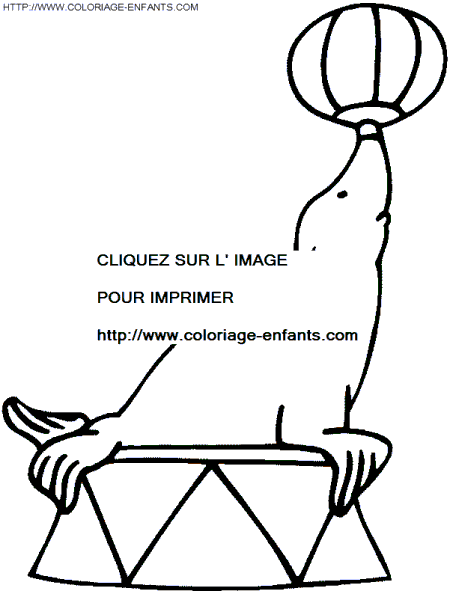 coloriage cirque otarie avec une balle