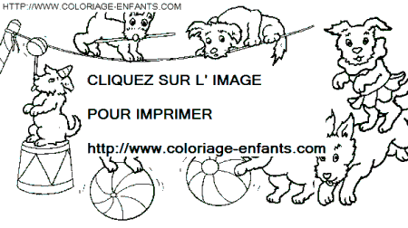 coloriage cirque petits chiens savants