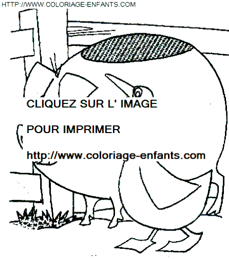 coloriage cochons