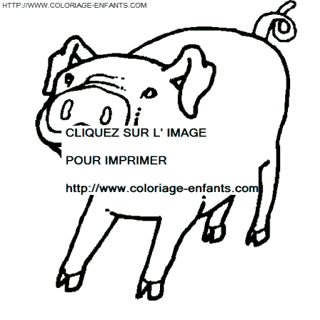 coloriage cochons