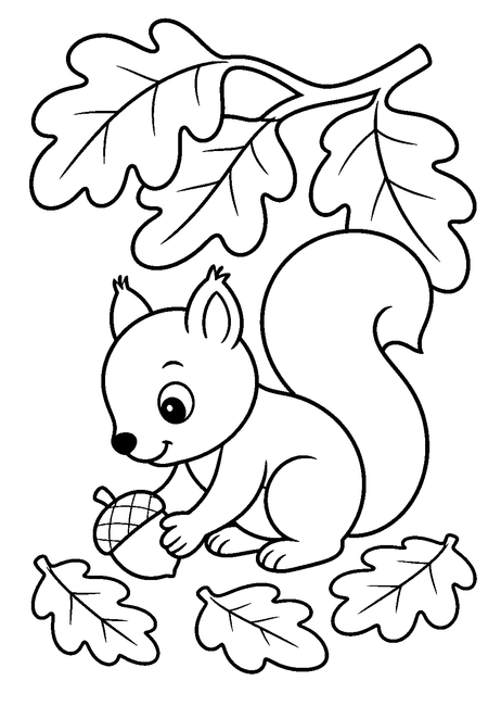 Coloriage automne : écureuil ramassant une noisette sous les feuilles à imprimer et à colorier