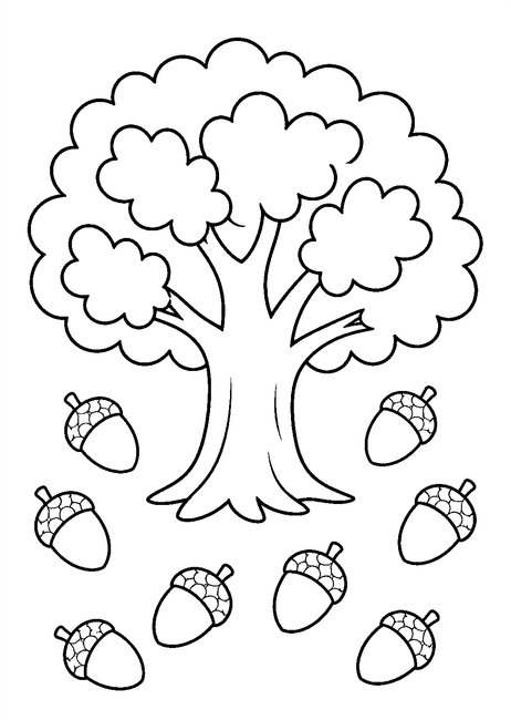 Coloriage automne : glands éparpillés autour d'un chêne à imprimer et à colorier
