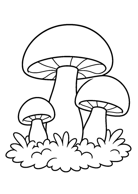 Coloriage des champignons poussant dans la mousse à imprimer et à colorier