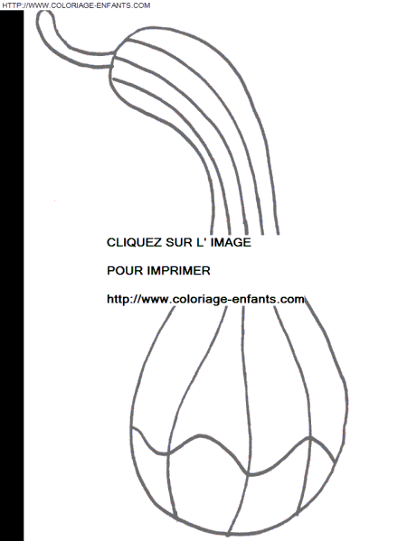 coloriage courgette