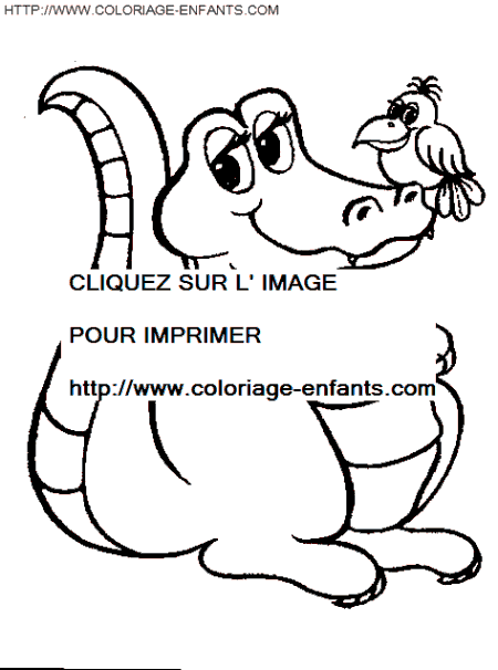 coloriage crocodiles