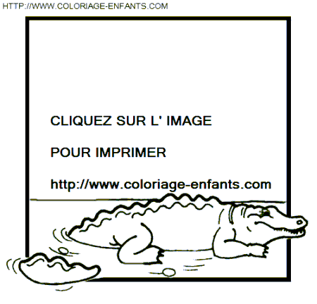 coloriage crocodiles