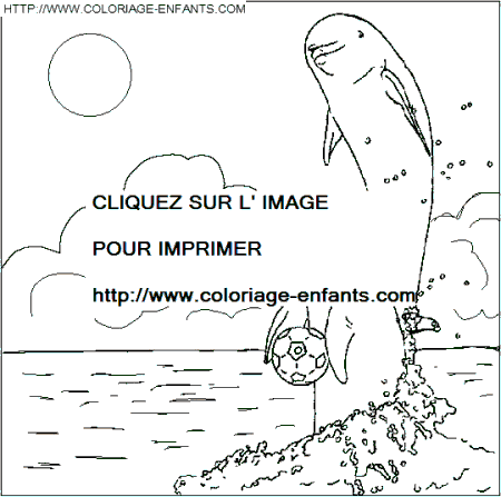 coloriage dauphins