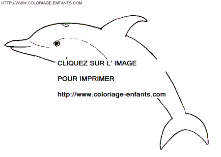 coloriage dauphins