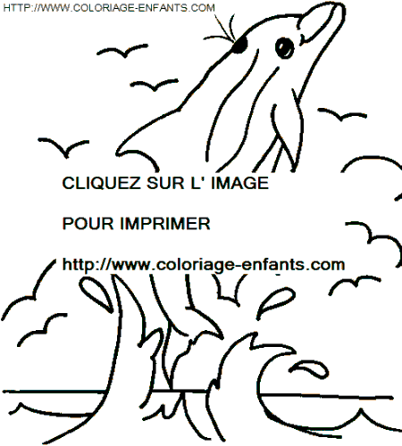 coloriage dauphins