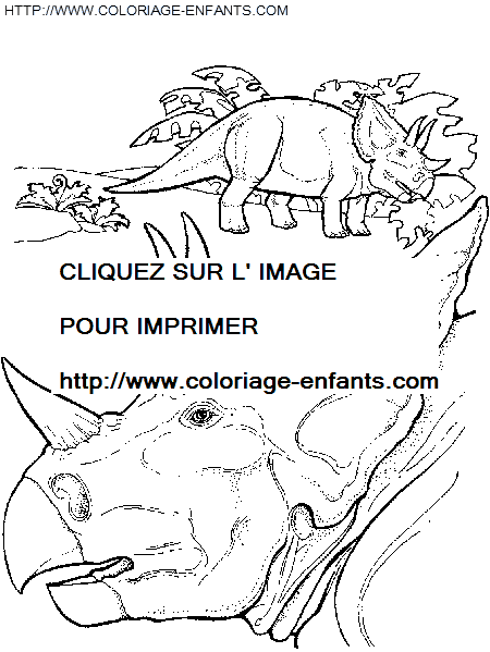 coloriage dinosaure couple de triceratops