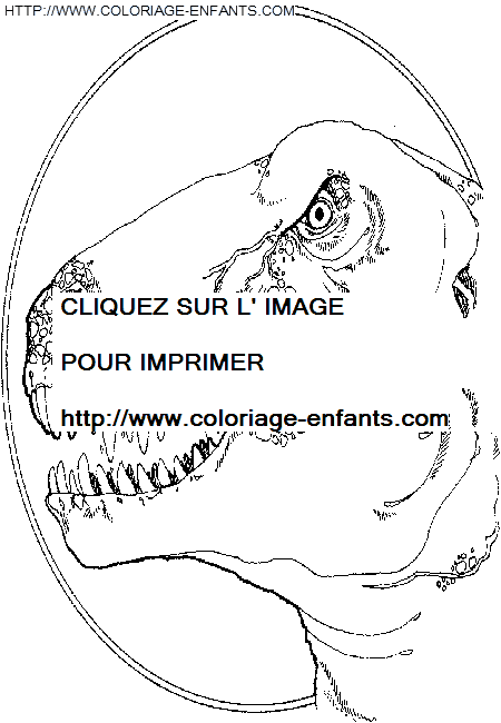 coloriage dinosaure jurassic park