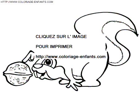 coloriage ecureuils