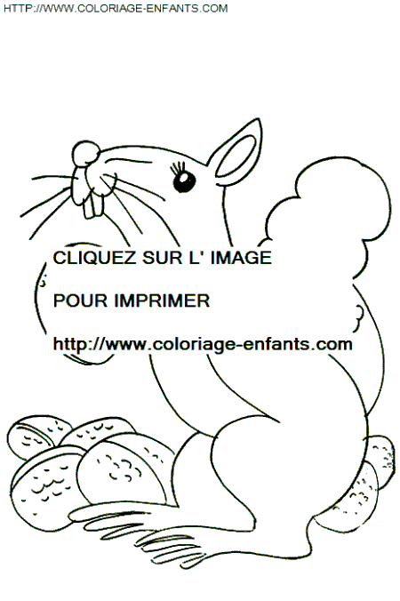 coloriage ecureuils