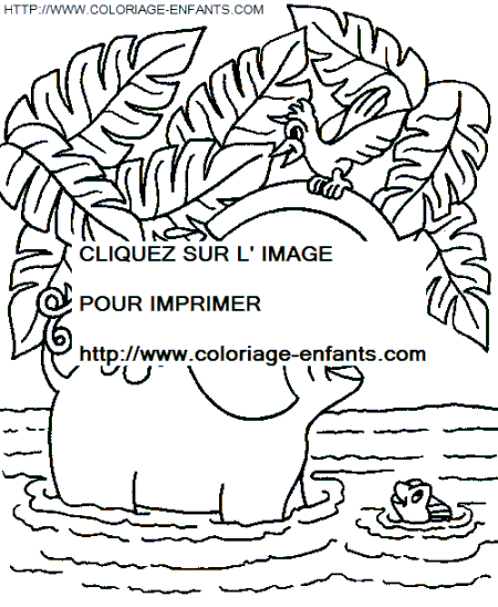 coloriage elephants