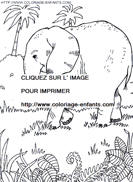 coloriage elephants