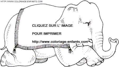 coloriage elephants