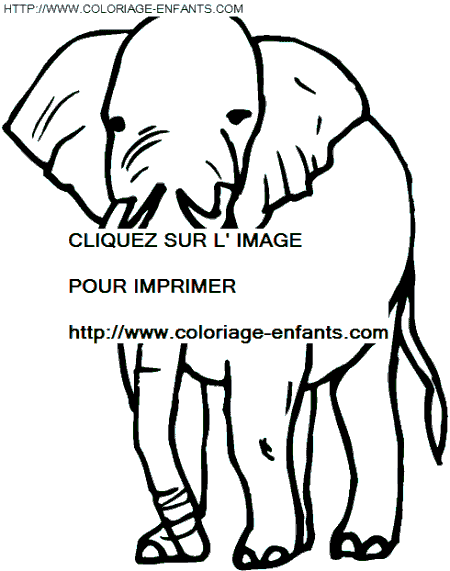 coloriage elephants