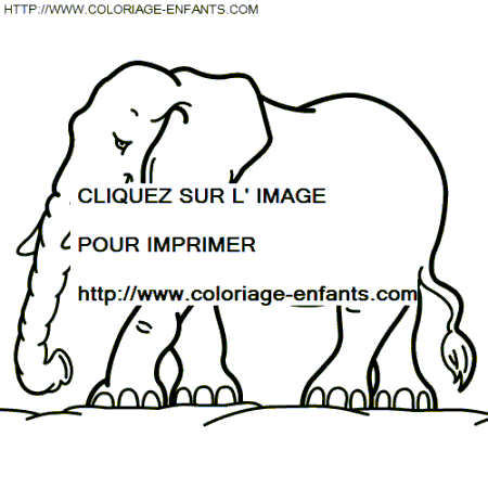 coloriage elephants