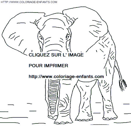 coloriage elephants