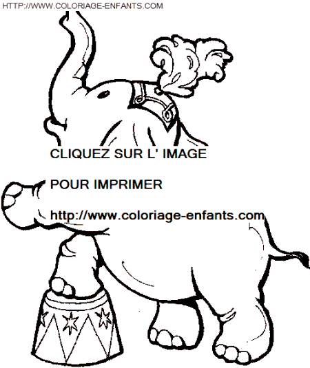 coloriage elephants