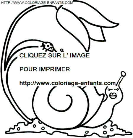 coloriage escargots