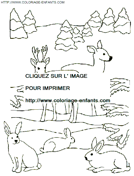 coloriage Fetes Noel Animaux